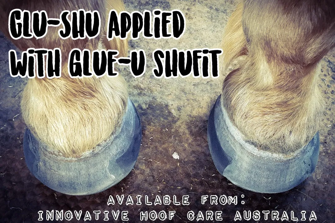 GluShu Kit