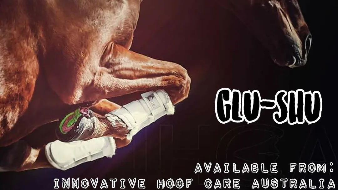 GluShu Kit
