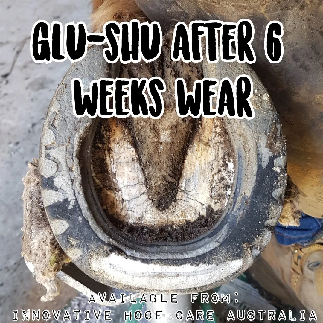 GluShu (Pair)
