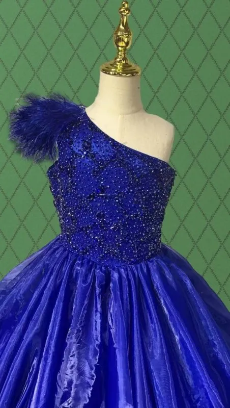 Little Child's Gorgeous Royal Blue Prom Pageant Couture