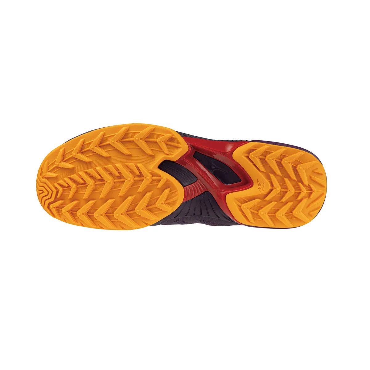 Wave Panthera (2024)
